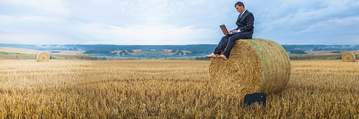 Openreach to light up 312,000 rural UK premises in Project Gigabit next phase